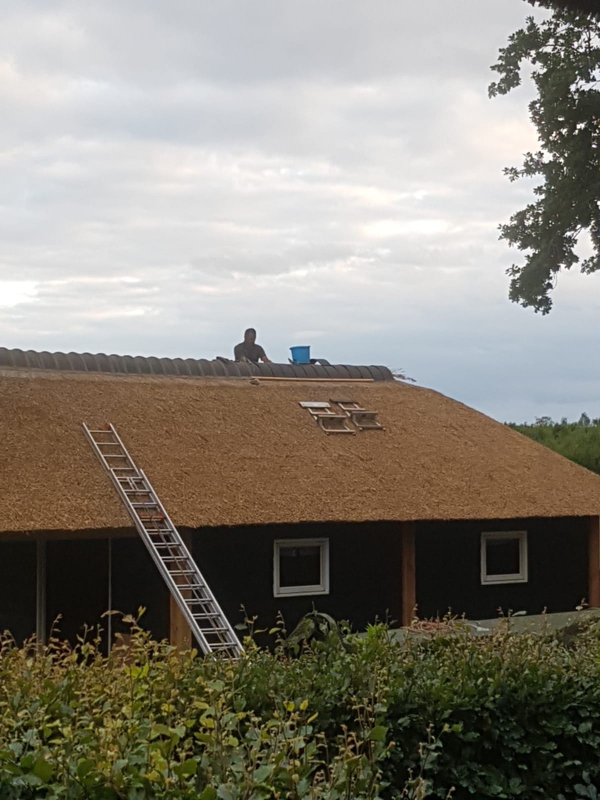 Rieten kap houten bijgebouw