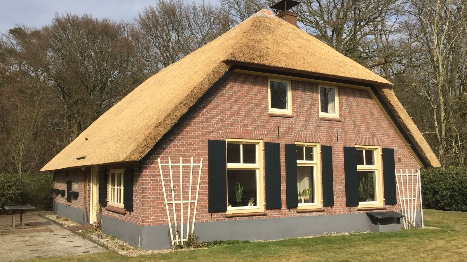 Vervangen rieten kap boerderij