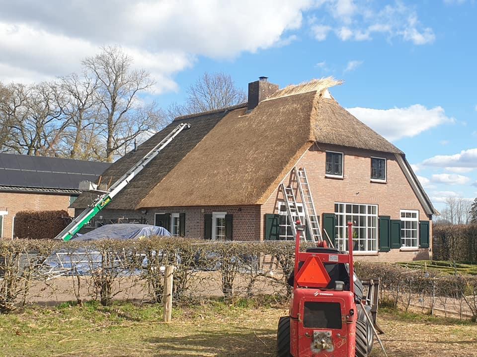 Plaatsen nieuwe rieten kap op woonboerderij