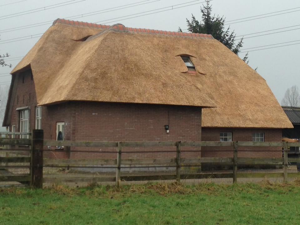 Rieten kap op boerderij