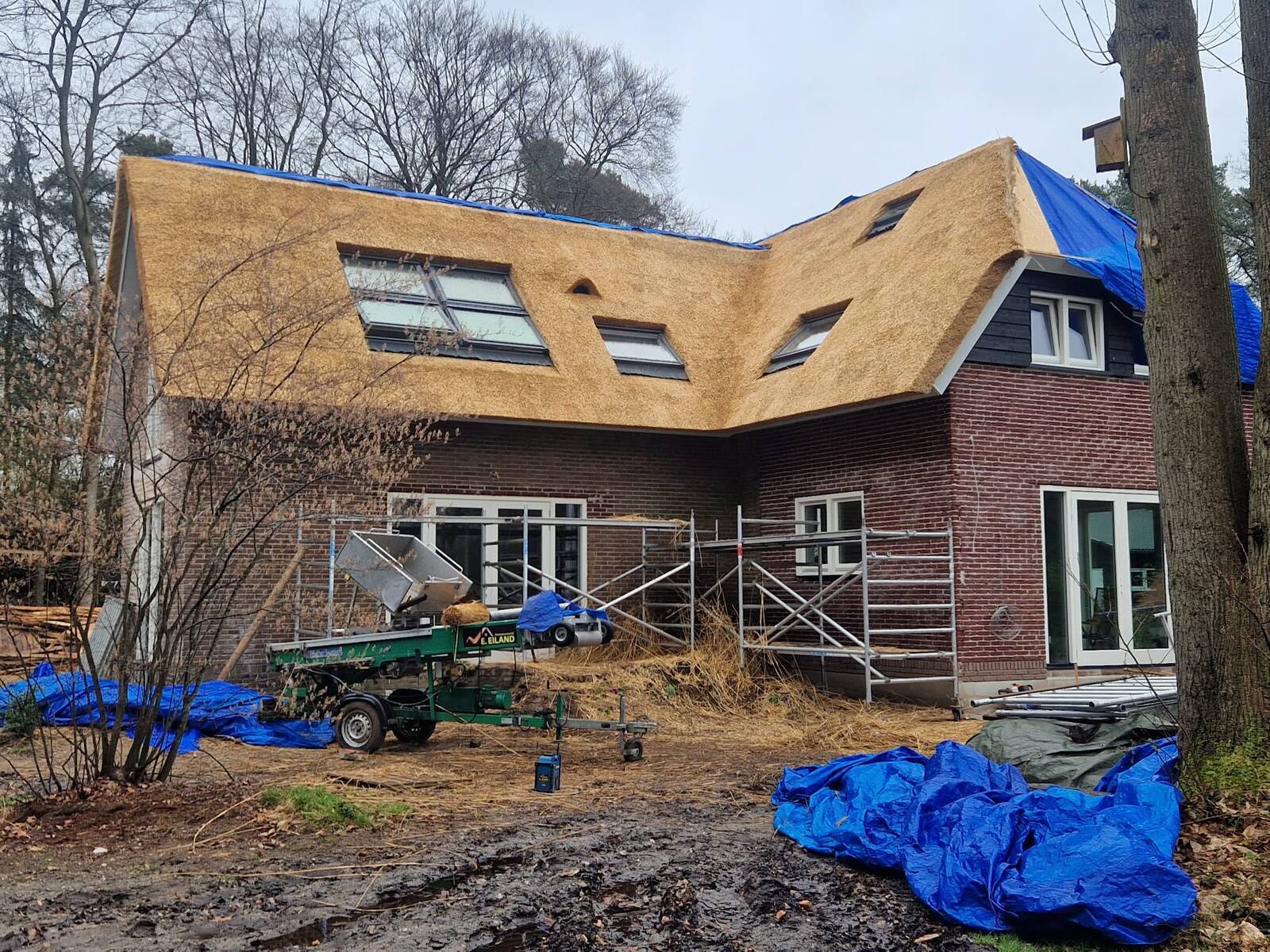 Renovatie en reparatie door Rietdekkersbedrijf E. Eiland