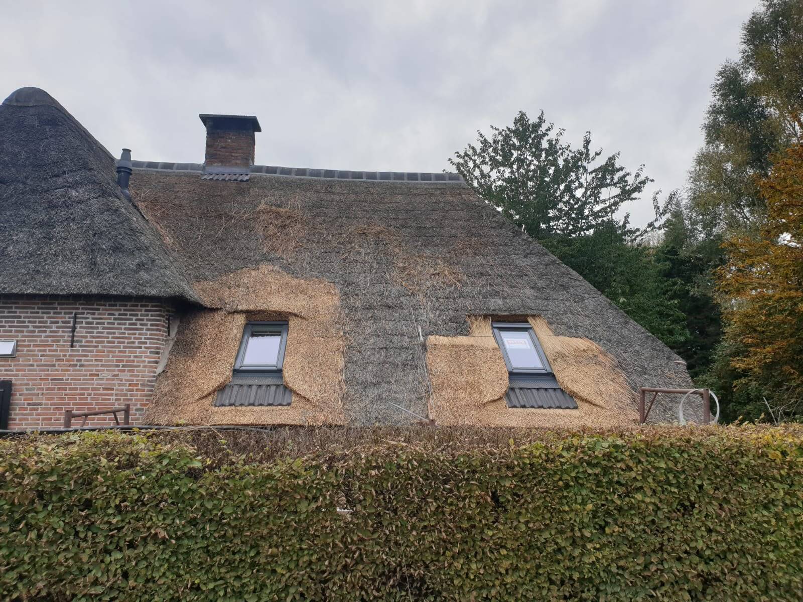 Inspuiten tegen algen en mos door Rietdekkersbedrijf E. Eiland