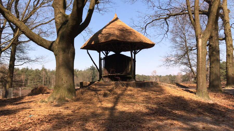 Rieten kap tussen de bomen
