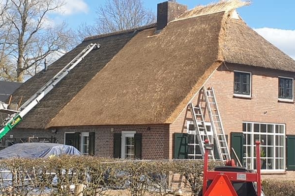 Plaatsen nieuwe rieten kap op woonboerderij