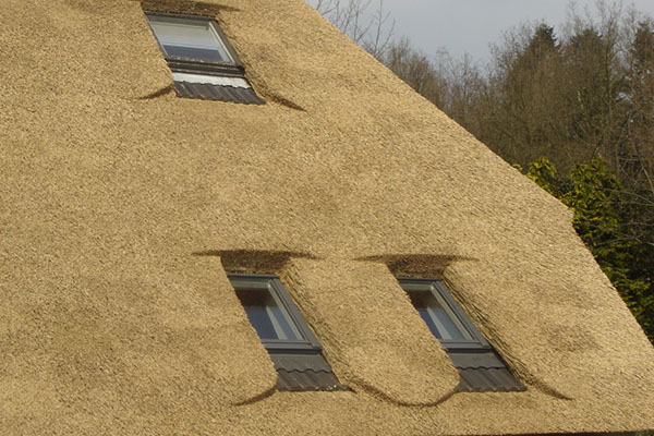 Rieten kap boerderij Heerde